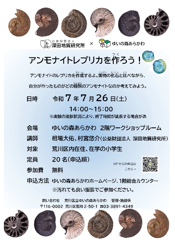 20250726ammonite２