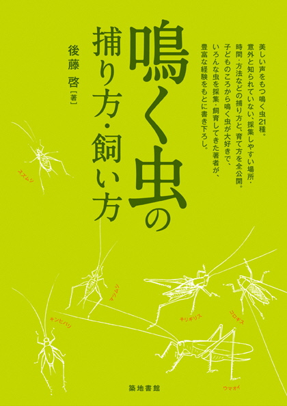 鳴く虫の捕りかた・飼い方