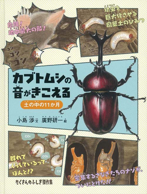 カブトムシの音がきこえる　土の中の11か月