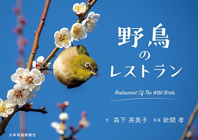 野鳥のレストラン